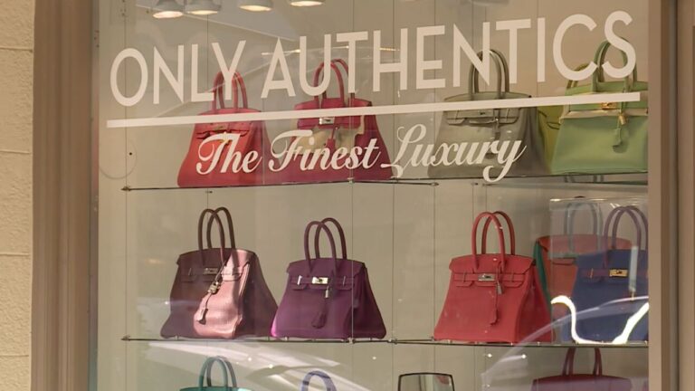 Roban bolsos de lujo valorados en más de $1 millón de dólares de tienda en Palm Beach