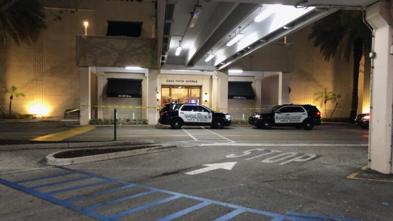 Arrestan dos sospechosos por  asalto en el centro comercial Town Center de Boca Raton