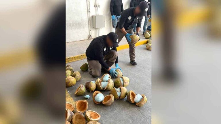 Policia mexicana encuentra 660 libras de fentanilo en un cargamento de cocos