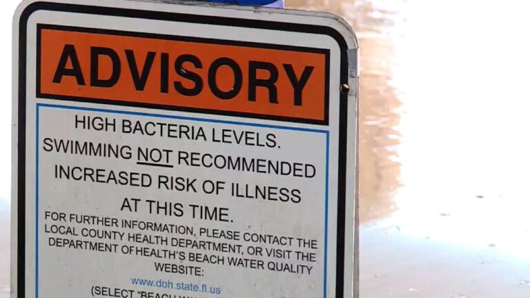 Se han emitido avisos de calidad del agua para 7 playas en el condado de Palm Beach