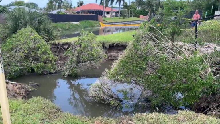 Una línea de alcantarillado rota causa que una porción del terreno a lo largo de Florida Mango Road se colapse